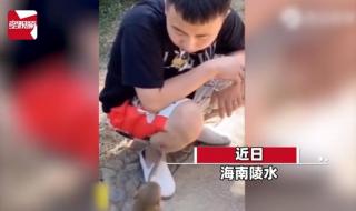 用镊子拔腿毛还会长吗用镊子拔腿毛还会长吗 男子被小男孩拔腿毛